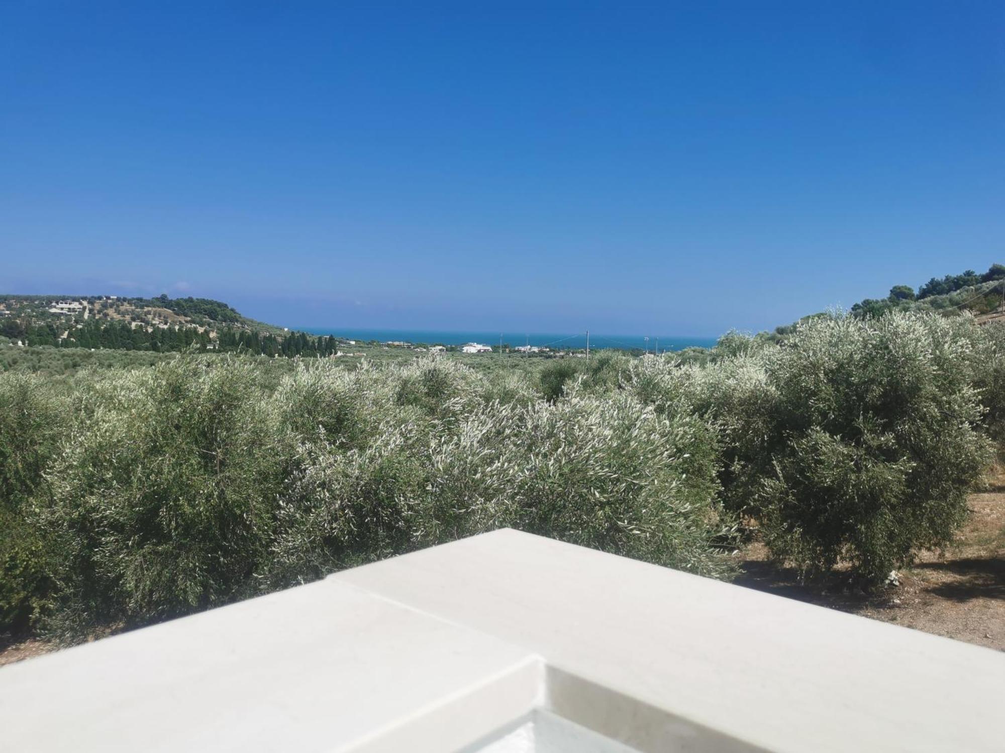 Le Fronde Vieste Extérieur photo